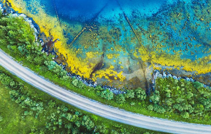 arial view of a road through trees beside tropical water